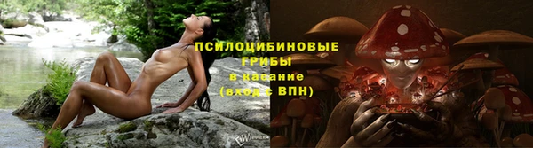 герыч Елизово