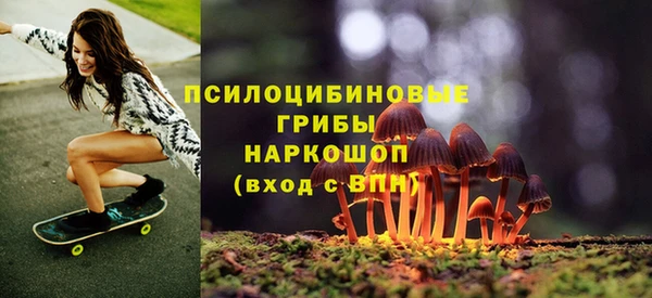 меф Заводоуковск