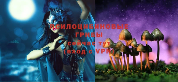 меф Заводоуковск