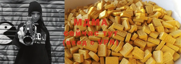 spice Дмитриев