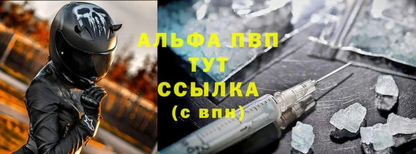 spice Дмитриев