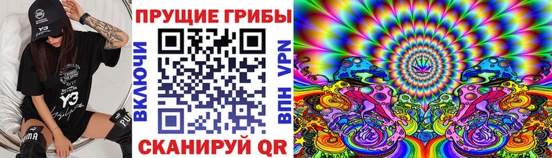 Купить закладки  Сретенск  Псилоцибиновые грибы MAGIC MUSHROOMS 