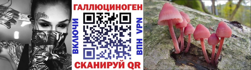 Псилоцибиновые грибы Psilocybine cubensis Сретенск